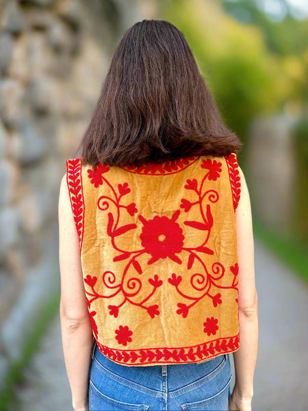 Beige and Red Velvet Embroidered Vest